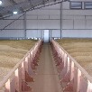Grain and potato storage